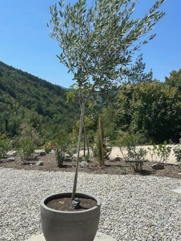 Gites Les Rochers De Plaisians Εξωτερικό φωτογραφία